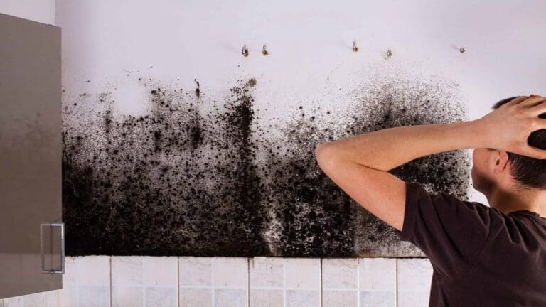 A man finds mold in a wall behind some kitchen cabinets.