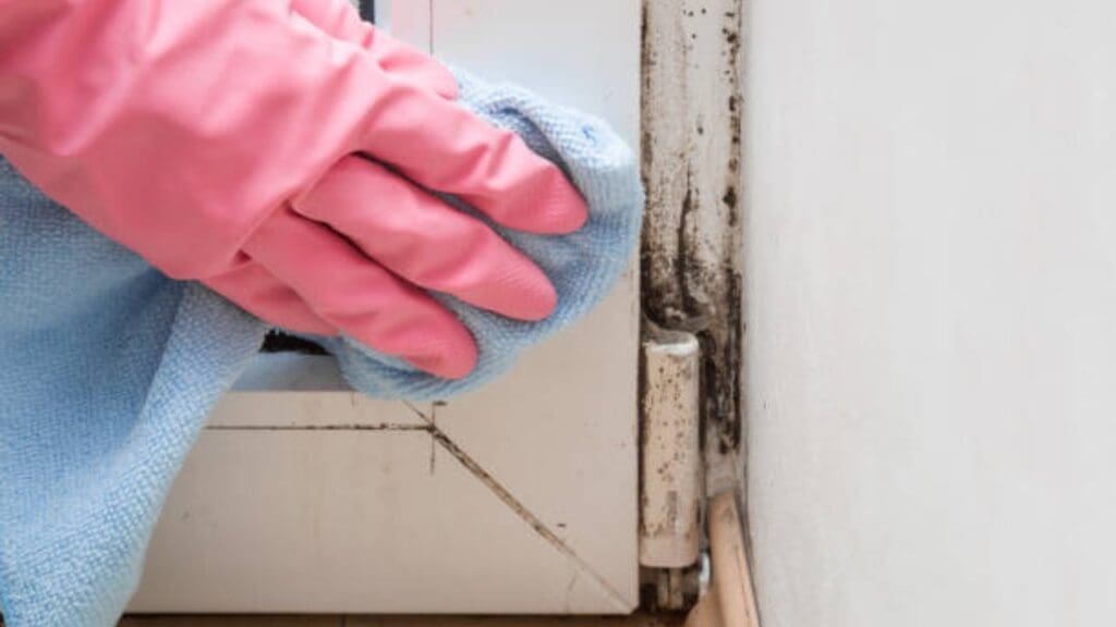 a picture of hand wearing gloves cleaning mold around window