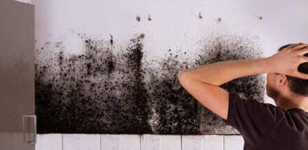 A man finds mold in a wall behind some kitchen cabinets.