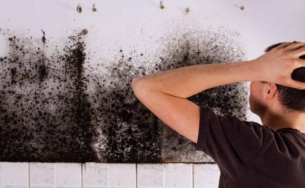 A man finds mold in a wall behind some kitchen cabinets.