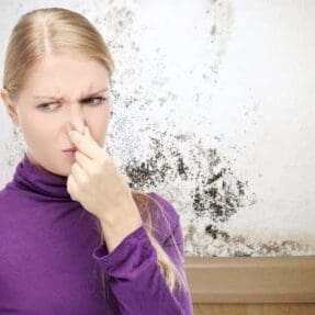 mold, mildew and musty odors