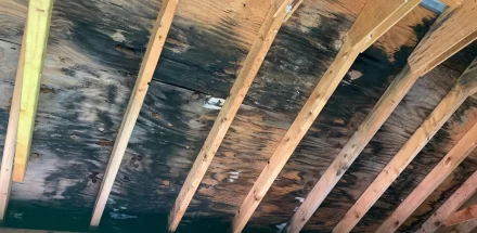 a wood roof with black mold showing in picture.